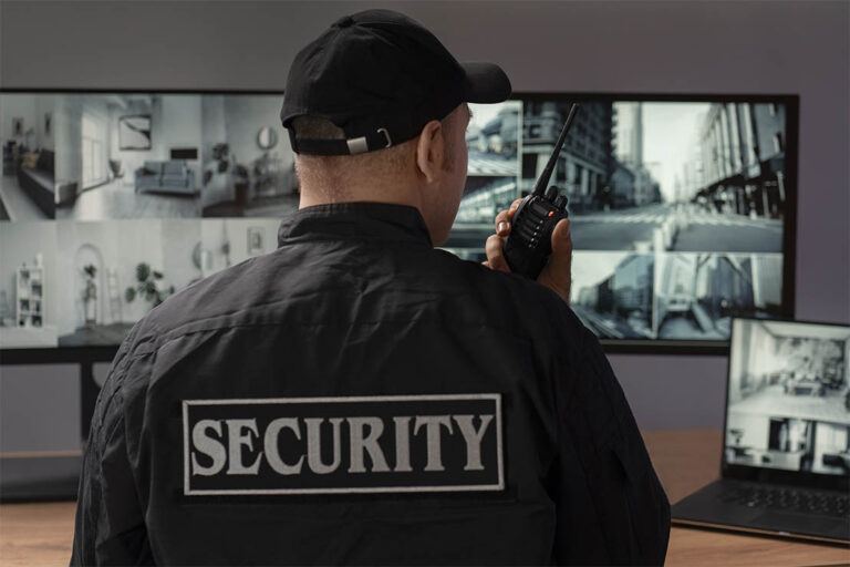 LA INSEGURIDAD CIUDADANA TEMA PRIORITARIO DE CAMPAÑA
