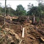 La Contraloría Distrital de Medellín vigila la presevación de la riqueza natural de nuestro territorio
