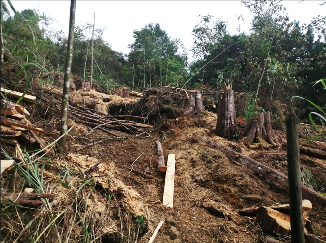 La Contraloría Distrital de Medellín vigila la presevación de la riqueza natural de nuestro territorio